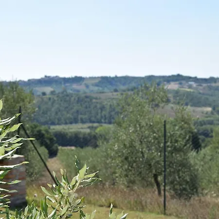 Le Ghiandaie