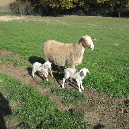 Farmház Le Ghiandaie